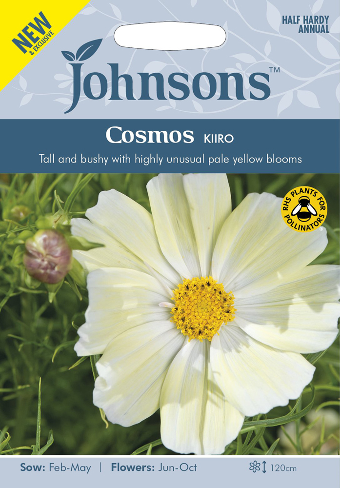Cosmos Kiiro Seeds By Johnsons Kazco co uk