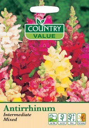 Antirrhinum Seeds Intermediate Mixed by Country Value Snap Dragon Flowers