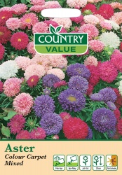 Aster Seeds Colour Carpet Mixed by Country Value