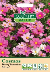 Cosmos Seeds Dwarf Sensation Mixed by Country Value