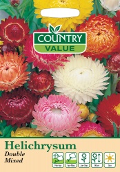 Helichrysum Seeds Double Mixed by Country Value