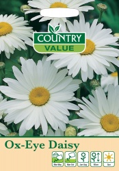 Ox-Eye Daisy Seeds by Country Value