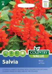 Salvia Seeds Blaze Of Fire by Country Value