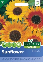 Sunflower Seeds Evening Sun by Country Value