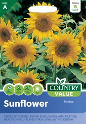 Sunflower Seeds Pacino by Country Value