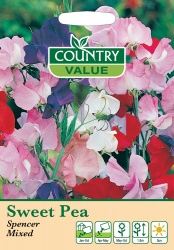 Sweet Pea Seeds 'Spencer Mixed by Country Value