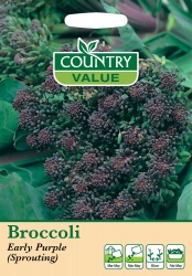 Broccoli Seeds Early Purple Sprouting by Country Value