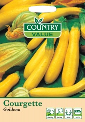 Courgette Seeds Goldena by Country Value