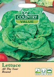 Lettuce Seeds All Year Round by Country Value