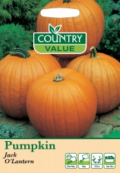 Pumpkin Seeds Jack O'Lantern by Country Value