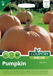 Pumpkin Seeds Big Max by Country Value