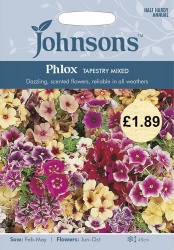 Phlox Seeds 'Tapestry Mixed' by Johnsons