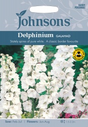 Delphinium Seeds Variety 'Galahad' By Johnsons Seeds