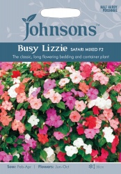 Busy Lizzie Seeds Safari Mixed F2 by Johnsons
