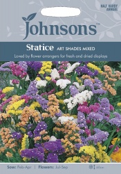 Statice 'Art Shades Mix' Seeds by Johnsons