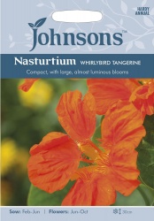 Nasturtium Seeds 'Whirlybird Tangerine' by Johnsons