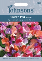 Sweet Pea Seeds 'Beeline' by Johnsons