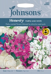 Honesty Seeds 'Purple and White' by Johnsons