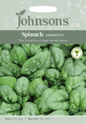 Spinach Seeds 'Corvette' F1 by Johnsons