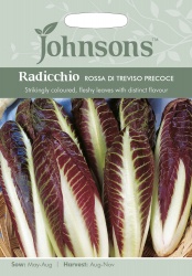 Radicchio Seeds 'Rossa Di Treviso Precoce' by Johnsons