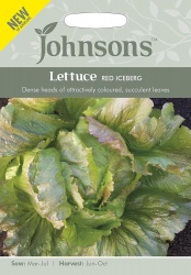 Lettuce Seeds 'Red Iceberg' by Johnsons