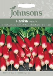 Radish Seeds 'Nelson' by Johnsons
