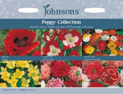 Poppy Seed Collection by Johnsons