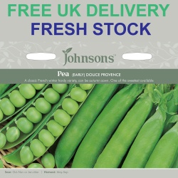 Pea Seeds Early 'Douce Provence' by Johnsons