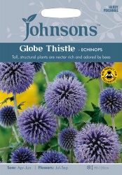 Globe Thistle Seeds Echinops Blue by Johnsons