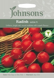 Radish Seeds 'Lucia F1' by Johnsons