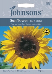 Sunflower Seeds Giant Single by Johnsons