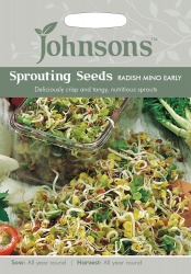Sprouting Seeds Radish Mino Early by Johnsons