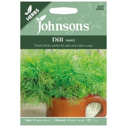 Dill Seeds 'Nano' Dwarf by Johnsons