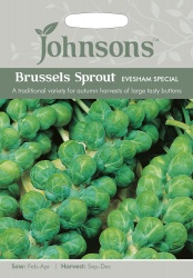 Brussel Sprout Seeds Evesham Special by Johnsons