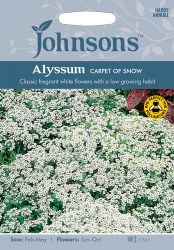 Alyssum Seeds Carpet Of Snow by Johnsons