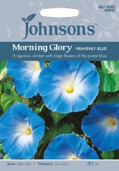 Morning Glory Seeds Heavenly Blue by Johnsons