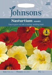 Nasturtium 'Mambo' Seeds by Johnsons