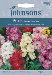 Stock 'Ten Week Mixed' Seeds by Johnsons