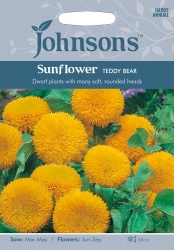 Sunflower Seeds 'Teddy Bear' by Johnsons