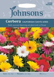 Gerbera 'Californian Giants Mixed' Seeds by Johnsons