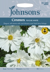 Cosmos Seeds 'Psyche White' Seeds by Johnsons