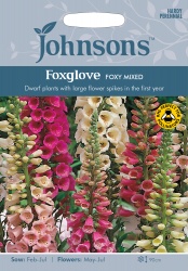 Foxglove Seeds 'Foxy Mixed' by Johnsons