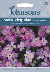 Stock Virginian 'Spring Sparkle' Seeds by Johnsons