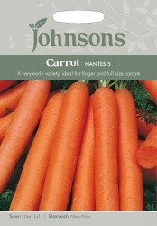 Carrot Seeds 'Nantes 5' by Johnsons