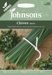 Chives Seeds 'Biggy' - By Johnson's Seeds