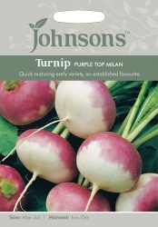 Turnip 'Purple Top Milan' - Johnson's Seeds