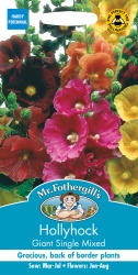 Hollyhock Seeds Giant Single Mixed by Mr Fothergills