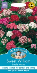 Sweet William Seeds Single Mixed by Mr Fothergills
