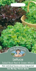 Lettuce Salad Bowl Red & Green Mixed by Mr Fothergills