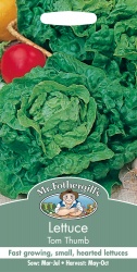 Lettuce Seeds Tom Thumb by Mr Fothergills